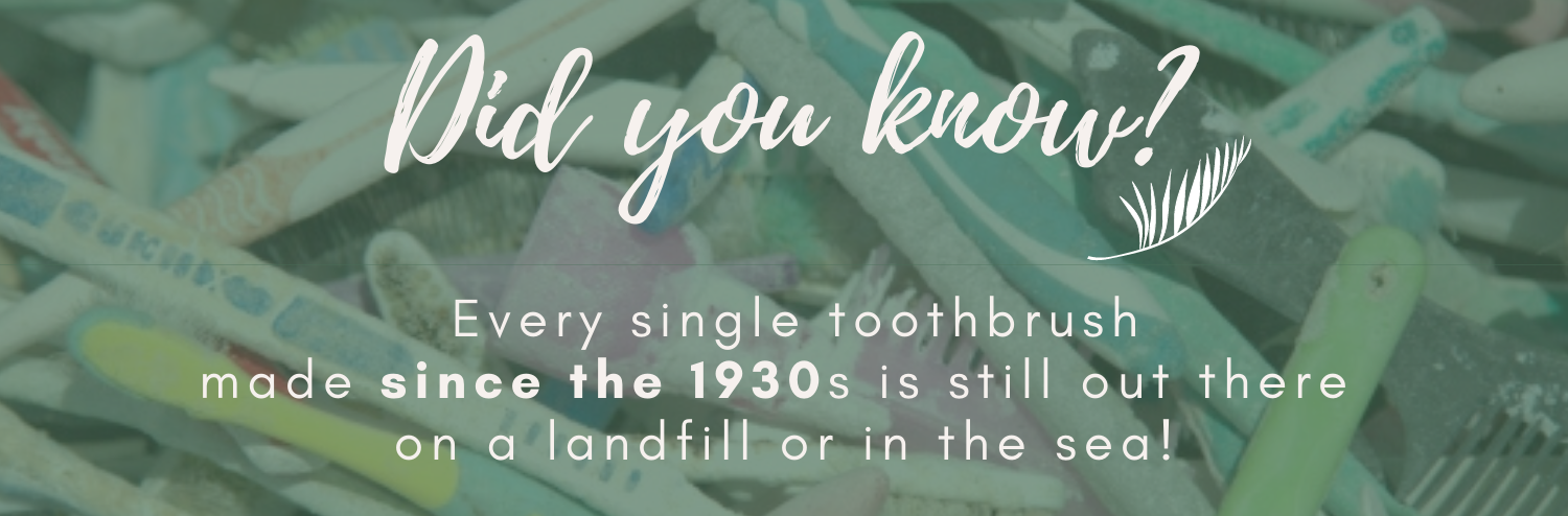 Did you know?