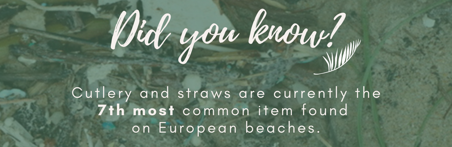Did you know?